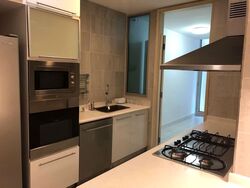 Cairnhill Crest (D9), Condominium #581870791